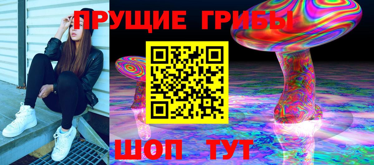 Галлюциногенные грибы прущие грибы Кизилюрт