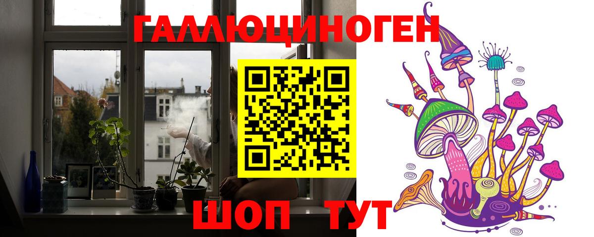 Кизилюрт  Галлюциногенные грибы GOLDEN TEACHER  Вход с VPN 